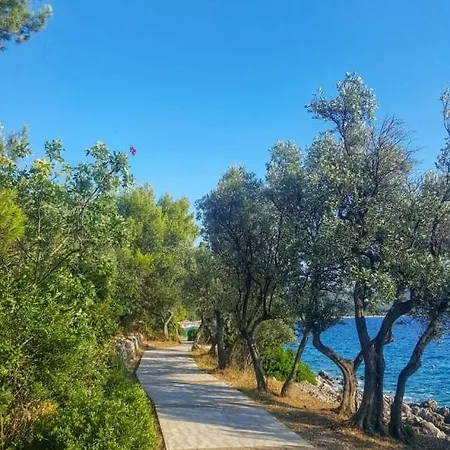 Stara Gavza 165 アパート *