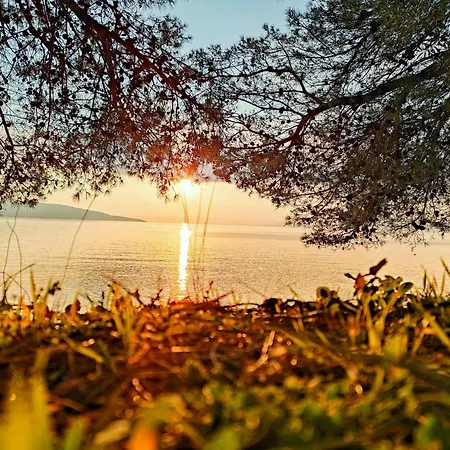 Stara Gavza 165 * ツレス