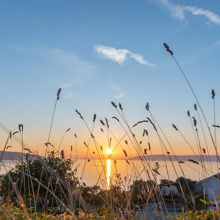 Stara Gavza 165 アパート *